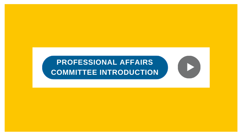 NBE Professional Affairs Committee Introduction